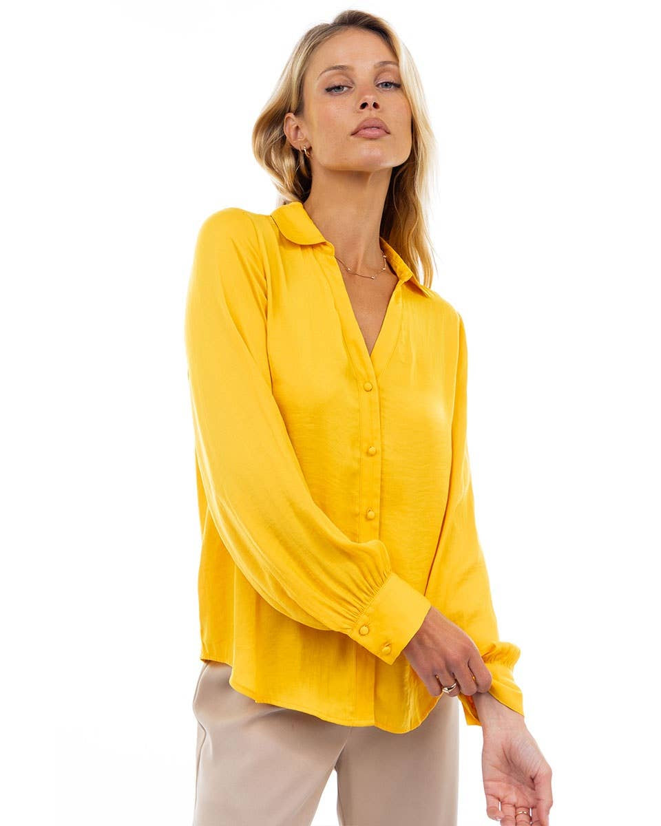 Sidney V-Neck Button Down Blouse