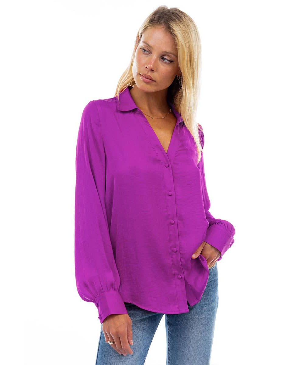 Sidney V-Neck Button Down Blouse