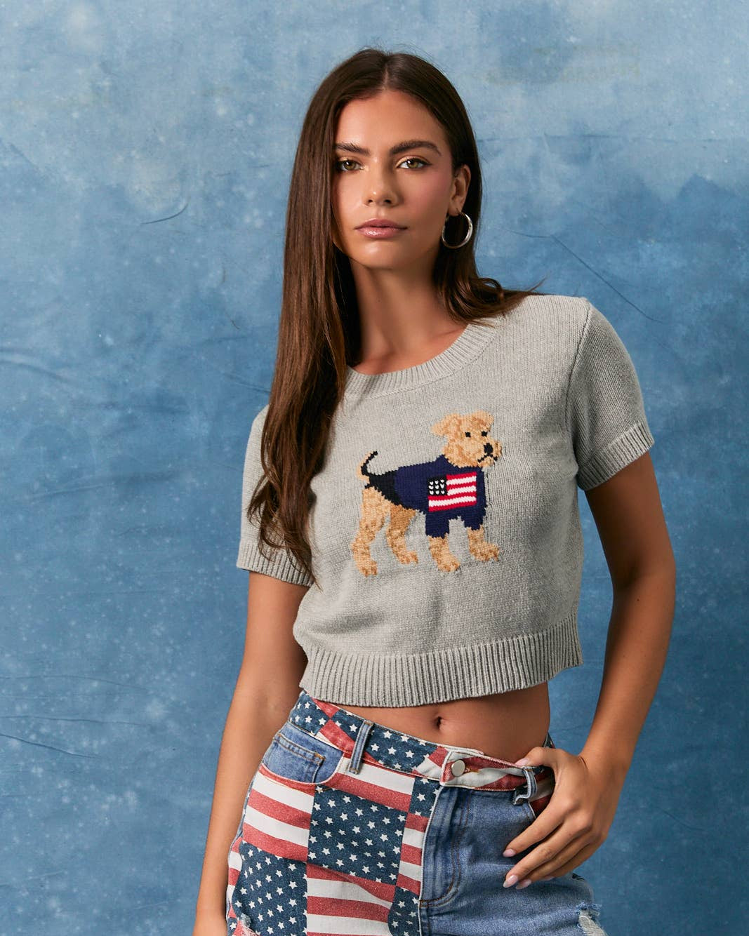 USA Dog Sweater