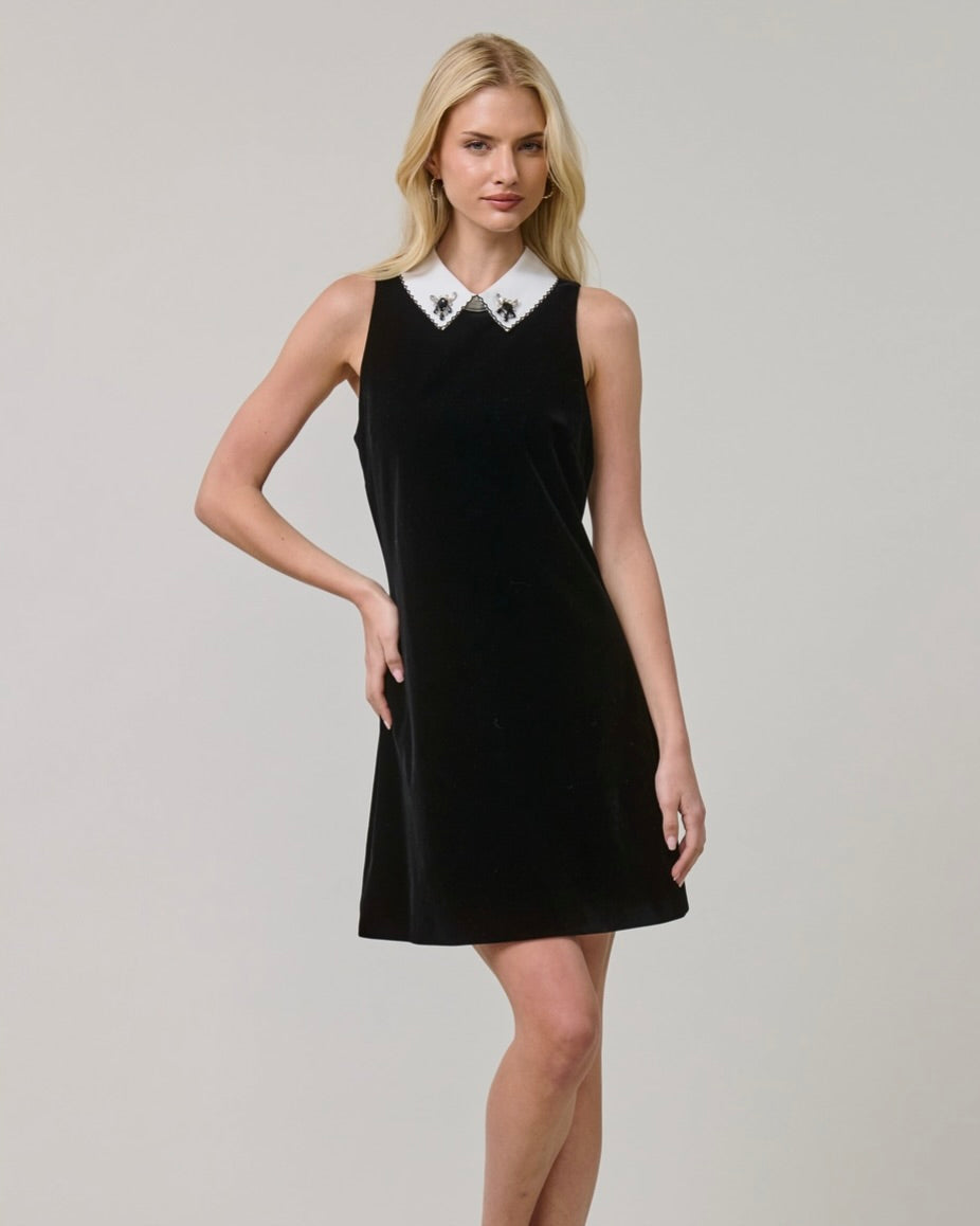 Bijou Mini Dress