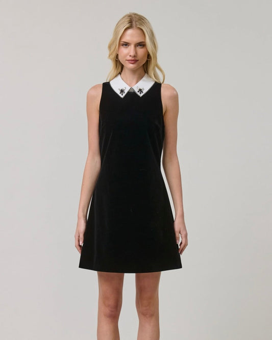 Bijou Mini Dress