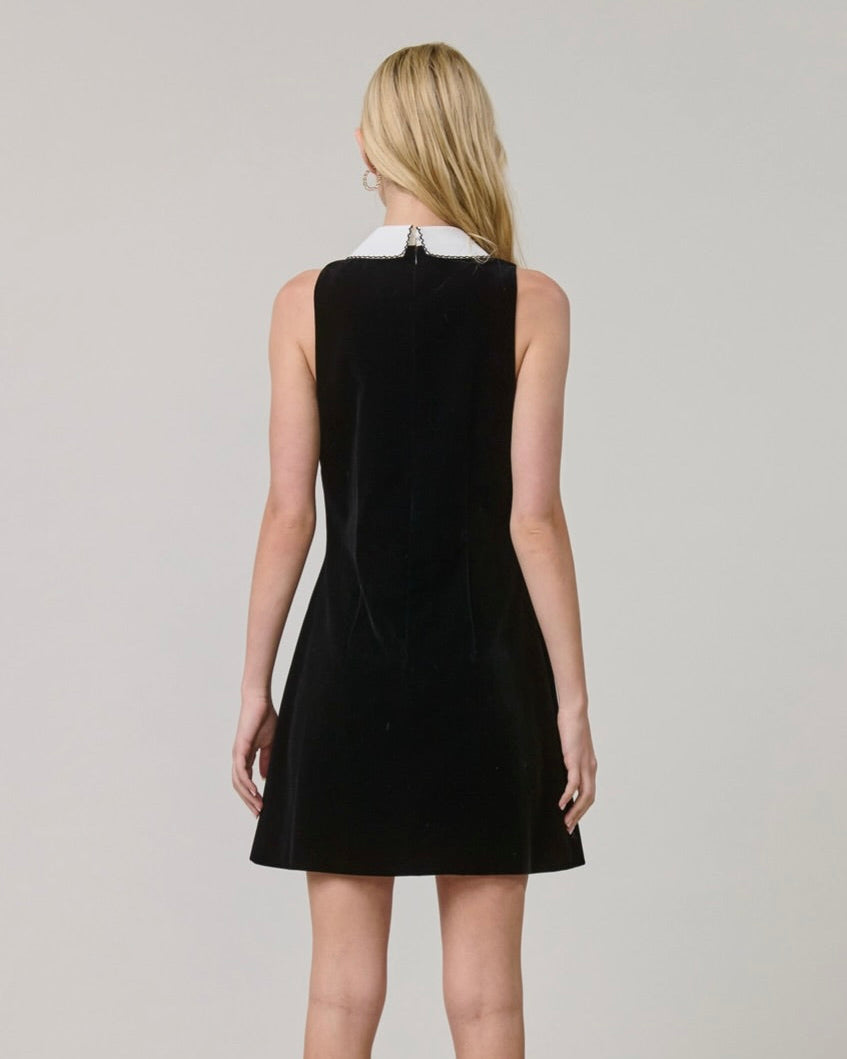 Bijou Mini Dress