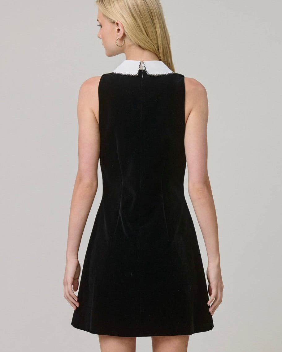 Bijou Mini Dress