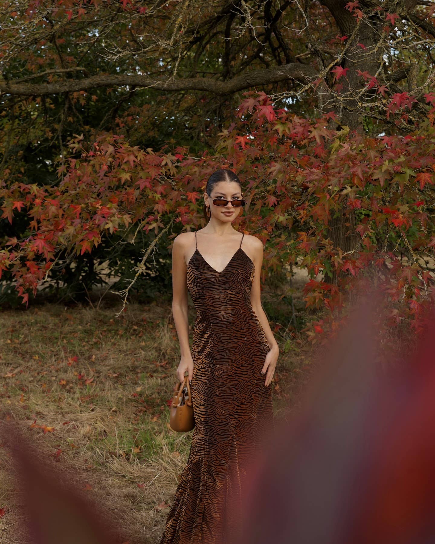 Talia Tiger Dress