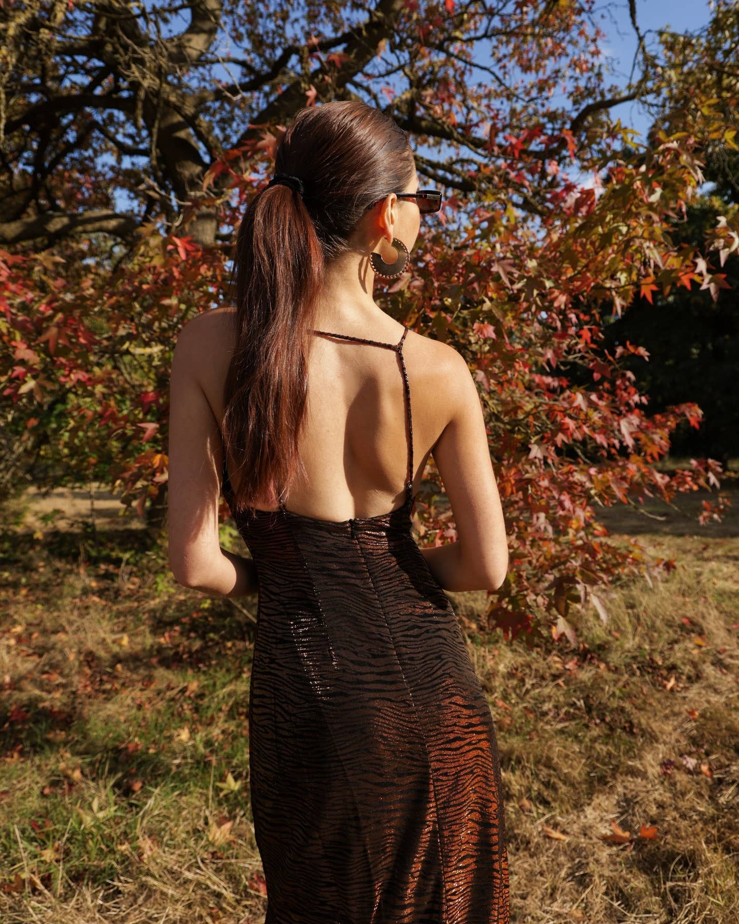 Talia Tiger Dress